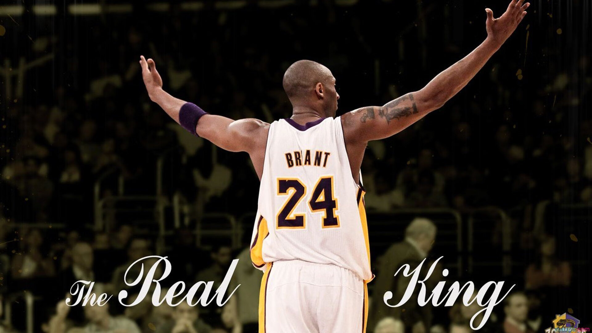 开云官网-NBA明星的多重身份：从篮球偶像到时尚icon，nba明星的身高